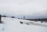 Творческая встреча с фотографом Юлией Смородовой пройдет в калужском ИКЦ. Фото